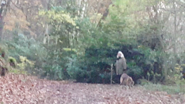 Le chien à 3 pattes 