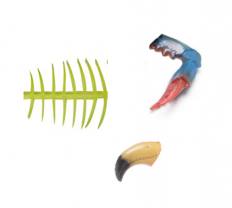 Fragments d'animaux en plastique