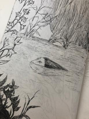 Dessins personnels crédits @louiseternat