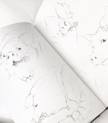 Dessins personnels crédits @louiseternat