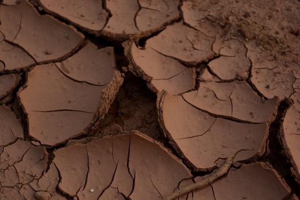 De la terre. 