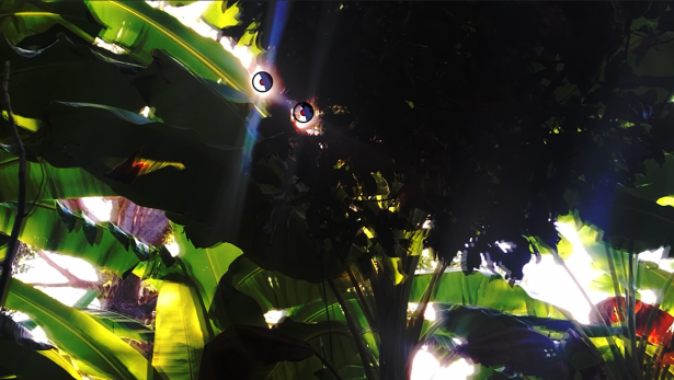 L'apparition