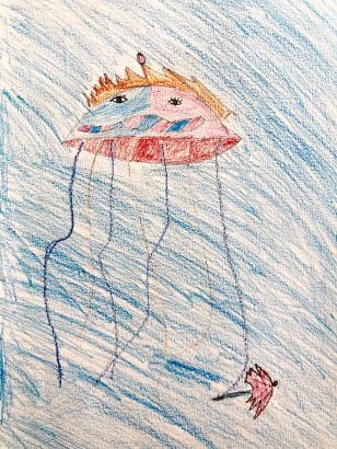 Méduse parapluie