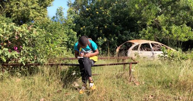 Ansoirdine rappe (avec) la nature