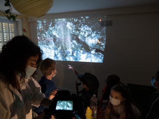 Projection au mur de ce qu'il se passe en direct de l'aquarium