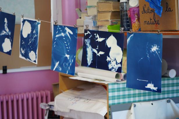 Cyanotypes épinglés