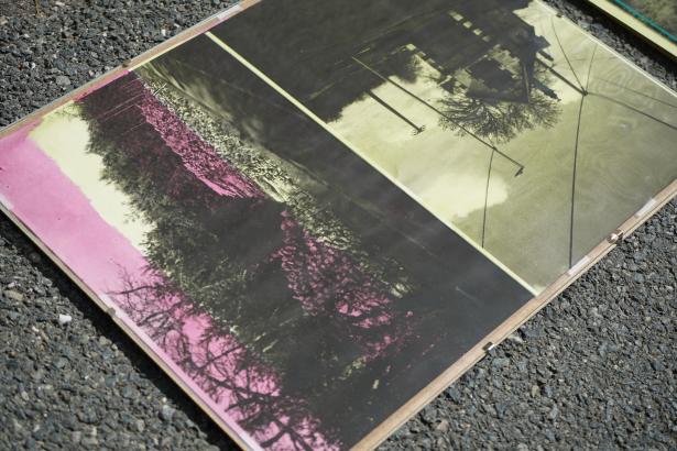 Anthotype au soleil