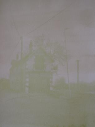 Anthotype