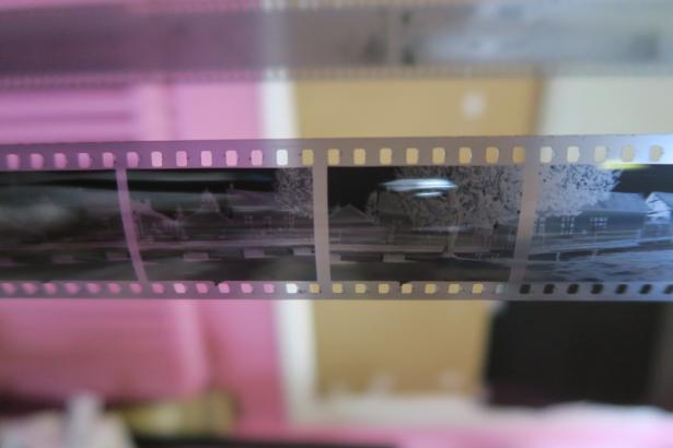 Négatif 35 mm développé
