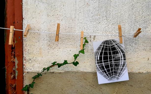 ©Delphine Tambourindeguy