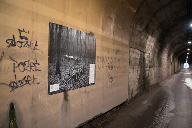 In Situ