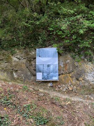 In Situ