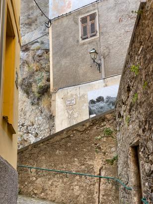 In Situ