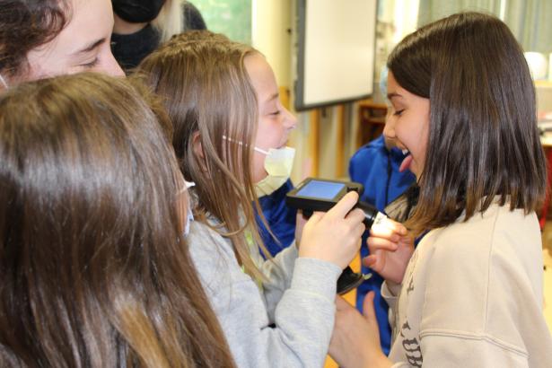 Observations aux microscopes