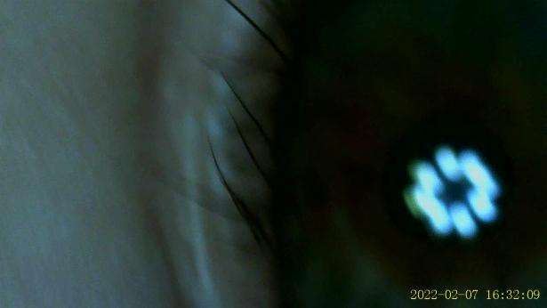 Observations aux microscopes