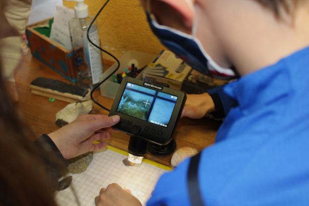 Observations aux microscopes