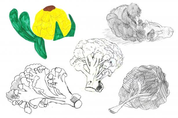 Dessins chou-fleur et brocoli