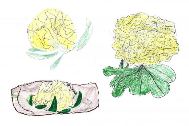 Dessins de choux-fleurs