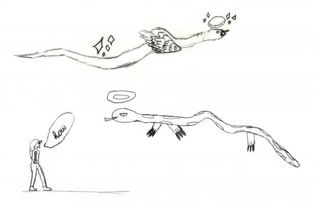 Dessins serpent-volant
