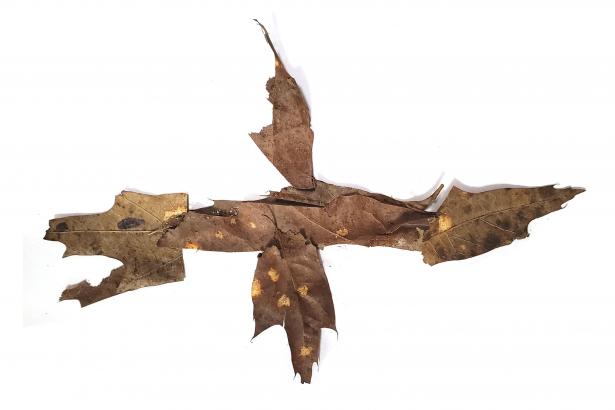 serpent de feuille