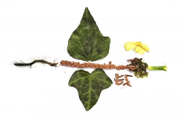 Serpent de fleur