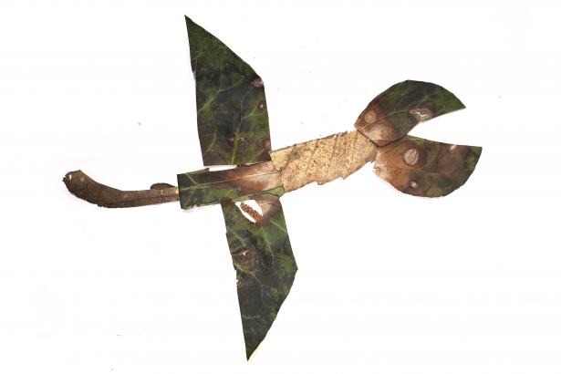 Serpent de feuilles