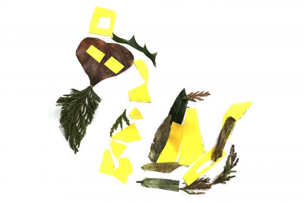 serpent de feuille et collage