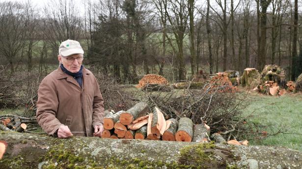 derrière village potier, après tas de bois