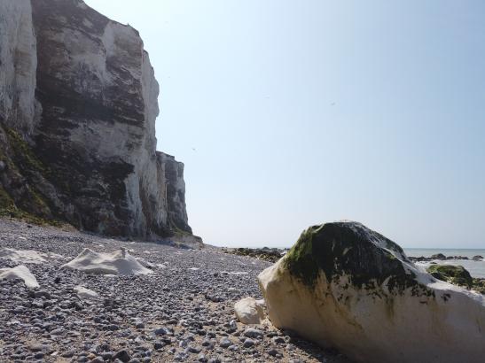 falaise côté mer 