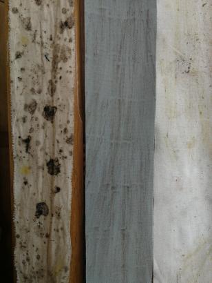 "Bandes de forêt", mélange d'abstraction et de figuration