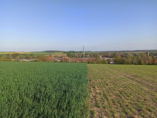 Saint-Ouen en mai