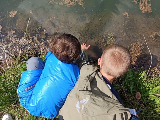 observation de l'environnement