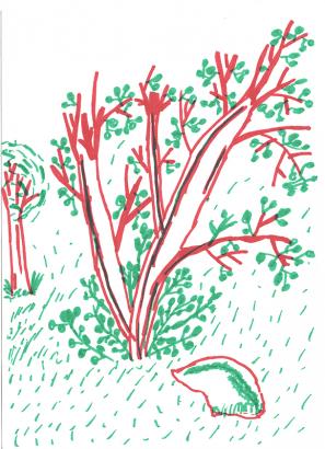 dessin d'Aby