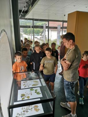 la visite