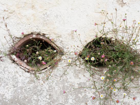 © Ihintza-Chloé Hargous