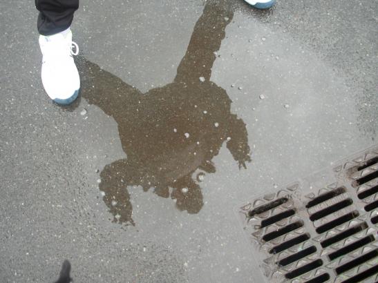 Photos prises par les enfants pendant une "chasse au reflet" dans la cour de l'école