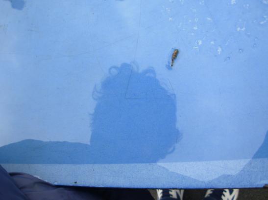 Photos prises par les enfants pendant une "chasse au reflet" dans la cour de l'école
