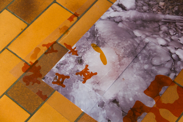 restitution filtre le temps installation transparence