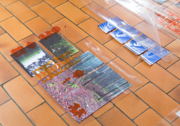 restitution filtre le temps installation transparence