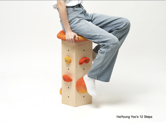 HaYoung Yoo's 12 steps