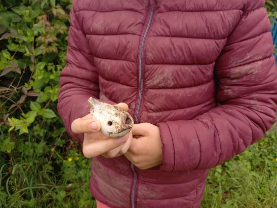 L'appeau trouvé dans la terre par Rédouane