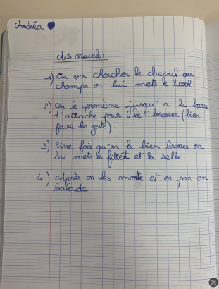 Notes d'écriture d'Andrea