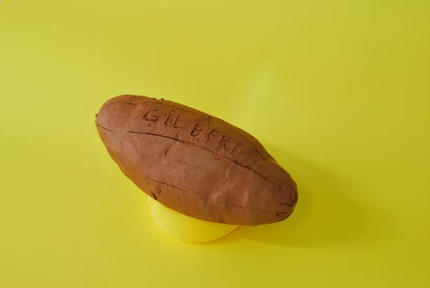 Ballon de rugby
