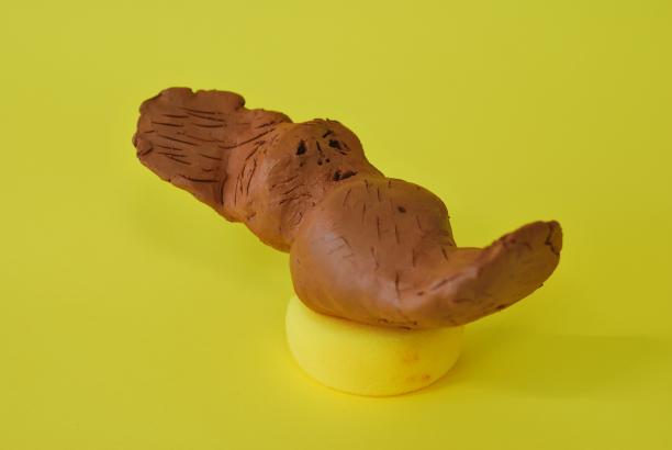 Lapin bizarre