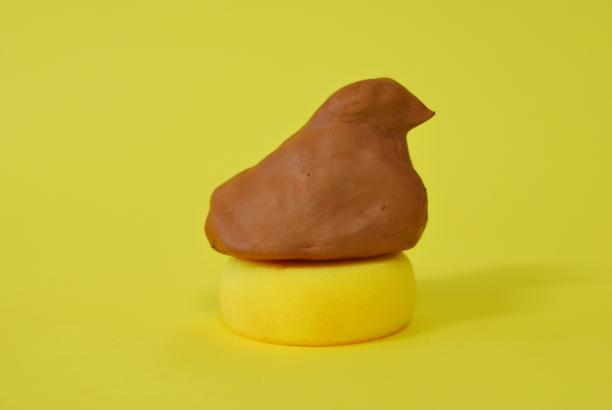 Oiseau minimal