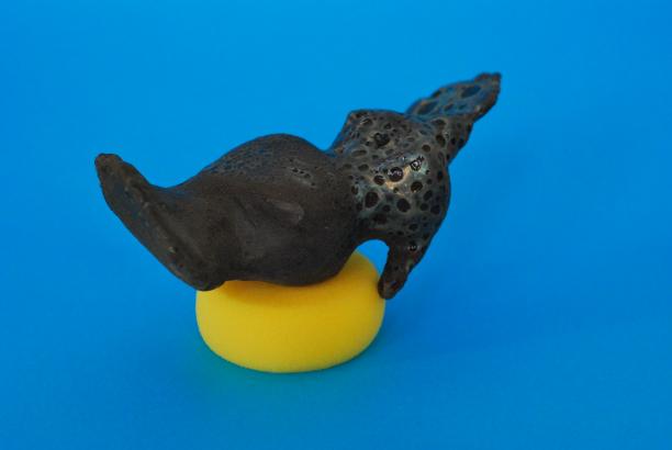 Lapin bizarre 2/2