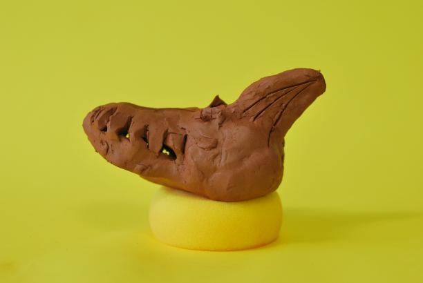 Tête de requin