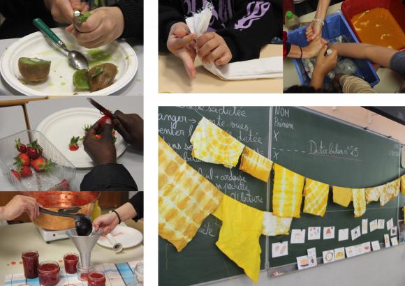 Intervention en classe de Malo Barratte, les élèves ont pu confectionner trois confitures artisanales à base de pommes, de kiwis et de fraises achetés au marché de Pont-de-Chéruy / Atelier de teinture végétale pour les cache-pots des confitures.
