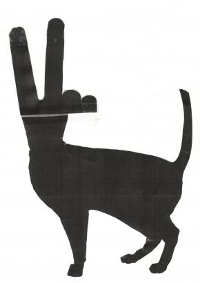 Un chat aux grandes oreilles, ou doigts.
