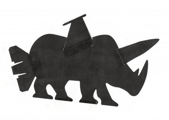 Le rhinaviondechasse